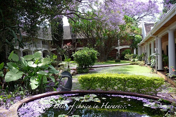 <?$hotel->title?> Photo